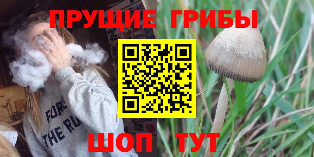 Галлюциногенные грибы Psilocybine cubensis Свободный