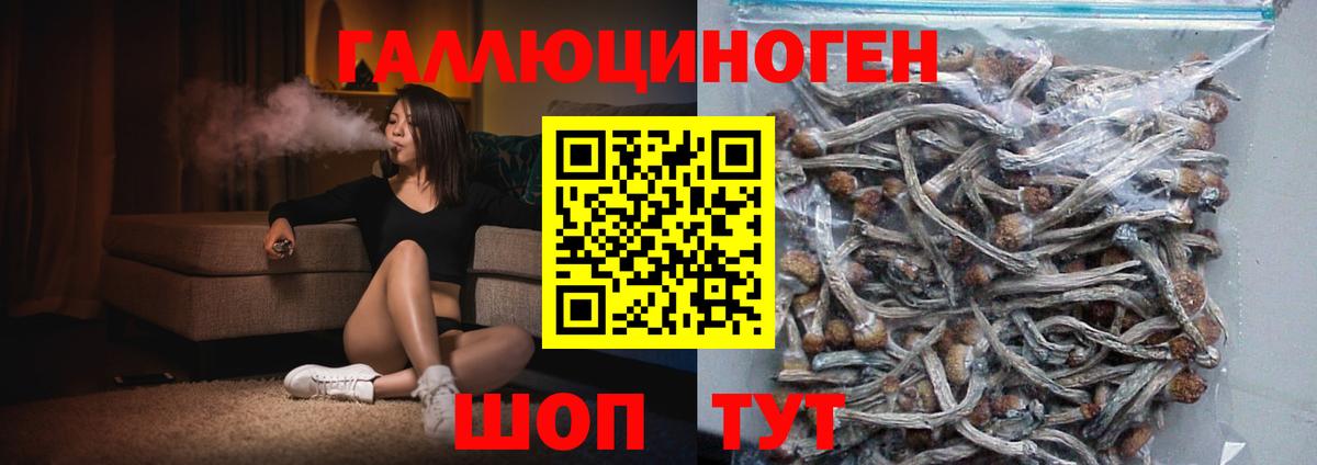 Псилоцибиновые грибы мицелий  Вход с VPN  Свободный  Галлюциногенные грибы прущие грибы 